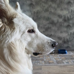 Fallen Madness, 04.06.1989, Кемерово