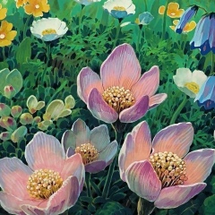 Дагмара Шатаева, 18.09.1997, Грозный