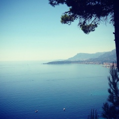 Роман Суровый, 20.05, Москва