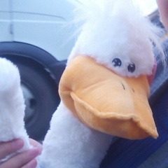 Наташа Маерова, 10.10.1988, Новосибирск