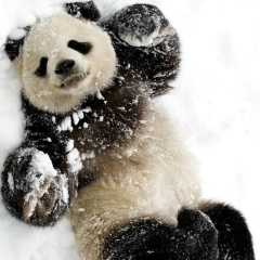 Иван Бугаков, 29.04