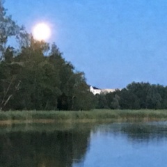 Елена Билькевич