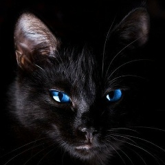 Қаратай Сарғалдақ, 29.02, Усть-Каменогорск