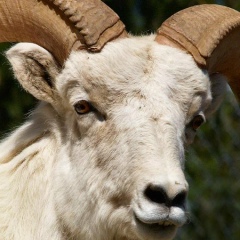 Дмитрий Мойсак, 12.04.1992, Москва