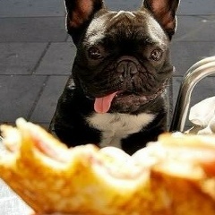 Сергей Титов, 09.01, Москва