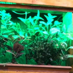 Сас Арустамян, 30.09, Москва