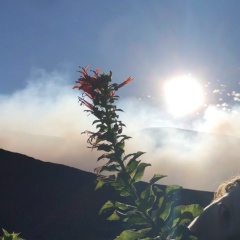 Даниил , 06.07.1996