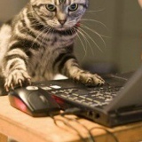 Владимир Тарасов, 19.01.1968, Журавичи