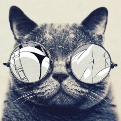 Денис Касьянов, 11.01.1980, Санкт-Петербург