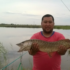 Николай Ли, 13.08.1982, Алматы