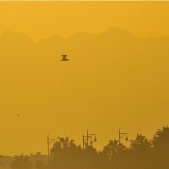 Антон Шама, 07.08, Москва
