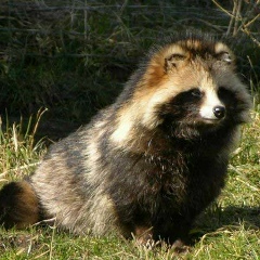 Игорян Бывалый, 24.11.1986, Москва