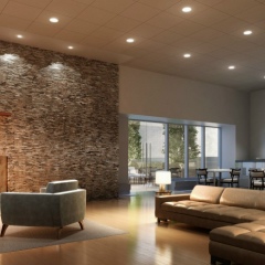 Виктор Бадмаев, Элиста