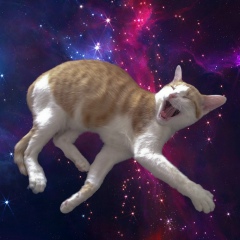 Jean Nauryzbayev, 28.12, Los Angeles