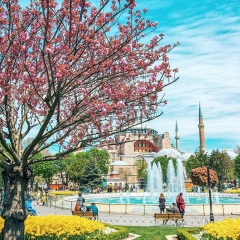 Арысулан Утепбергенов, 01.06, Алматы