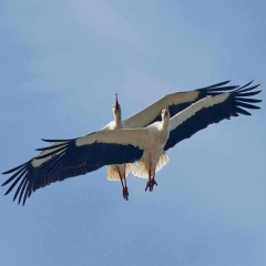 Яна Анатольевна, 07.05