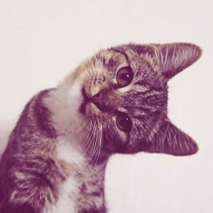 Нина Сафонова