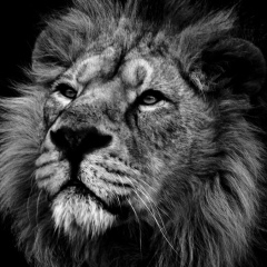 Александр Александров, 13.07.1987, Екатеринбург