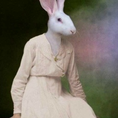 Герой Ой, 13.03, Санкт-Петербург