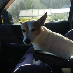 Павел Иванушкин, Москва