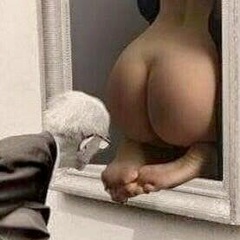 Артём Дворников, 17.05, Москва