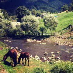 Юля Маноха, 21.07