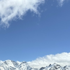 Vezir Kurbanov, Новороссийск