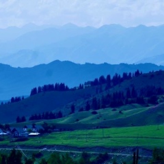Сергей Яков, 08.06.1995, Бишкек