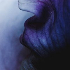 Цветок Солнца, 07.05.1991, Грозный