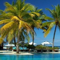 Эля Алиева, Баку