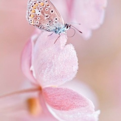 Екатерина Полубинская, 01.09, Новосибирск