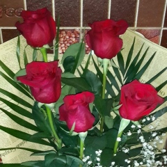 Сандугаш Рысбаева, 14.06.1991, Актау