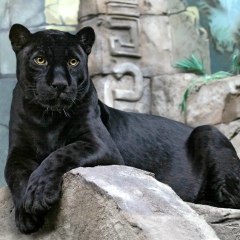 Sofia Revenko, 15.07.1982, Лисаковск