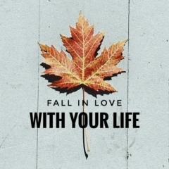 Настя Махтиенко, 17.12