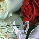 Инна Айрапетян, Горис