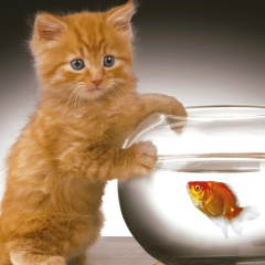 Ирина Егорова, 22.06, Санкт-Петербург