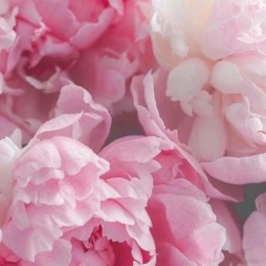 Айнура А, Нижний Новгород