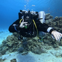 Вадим Орлов, 06.10, Санкт-Петербург