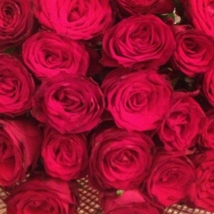 Manshuk Abisheva, 22.03.1989, Кызылорда