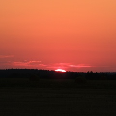 Дмитрий Жебрун, 06.10.1985, Брест