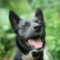 Николай Бабочкин, 04.09, Саратов