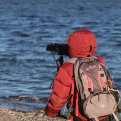 Юлия Богомолова, Нарьян-Мар