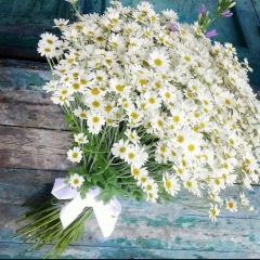 Екатерина Летуновская, 01.06.1987, Москва