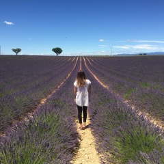 Марина Маргиева, 26.11, Владикавказ