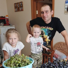 Дмитрий Михайлов