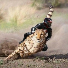 Муху Гаджиев, 02.05.1987, Махачкала