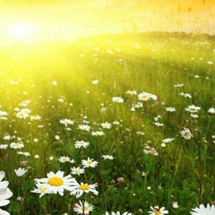 Ксюша Давыдова, 02.08, Тула