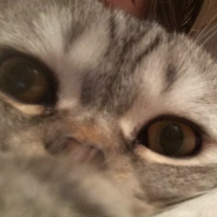 Анастасия Бабынина, 12.09, Новосибирск