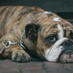 Kara Kara, 07.07.2001, Смоленск