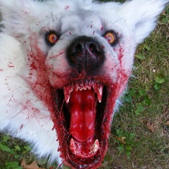 Эль Ахрайрах, 06.09.1990, Тюмень